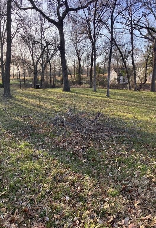 0.44 acres in Henderson County - photo 5