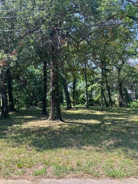 0.44 acres in Henderson County - photo 3