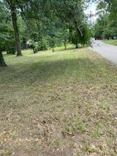 0.44 acres in Henderson County - photo 7