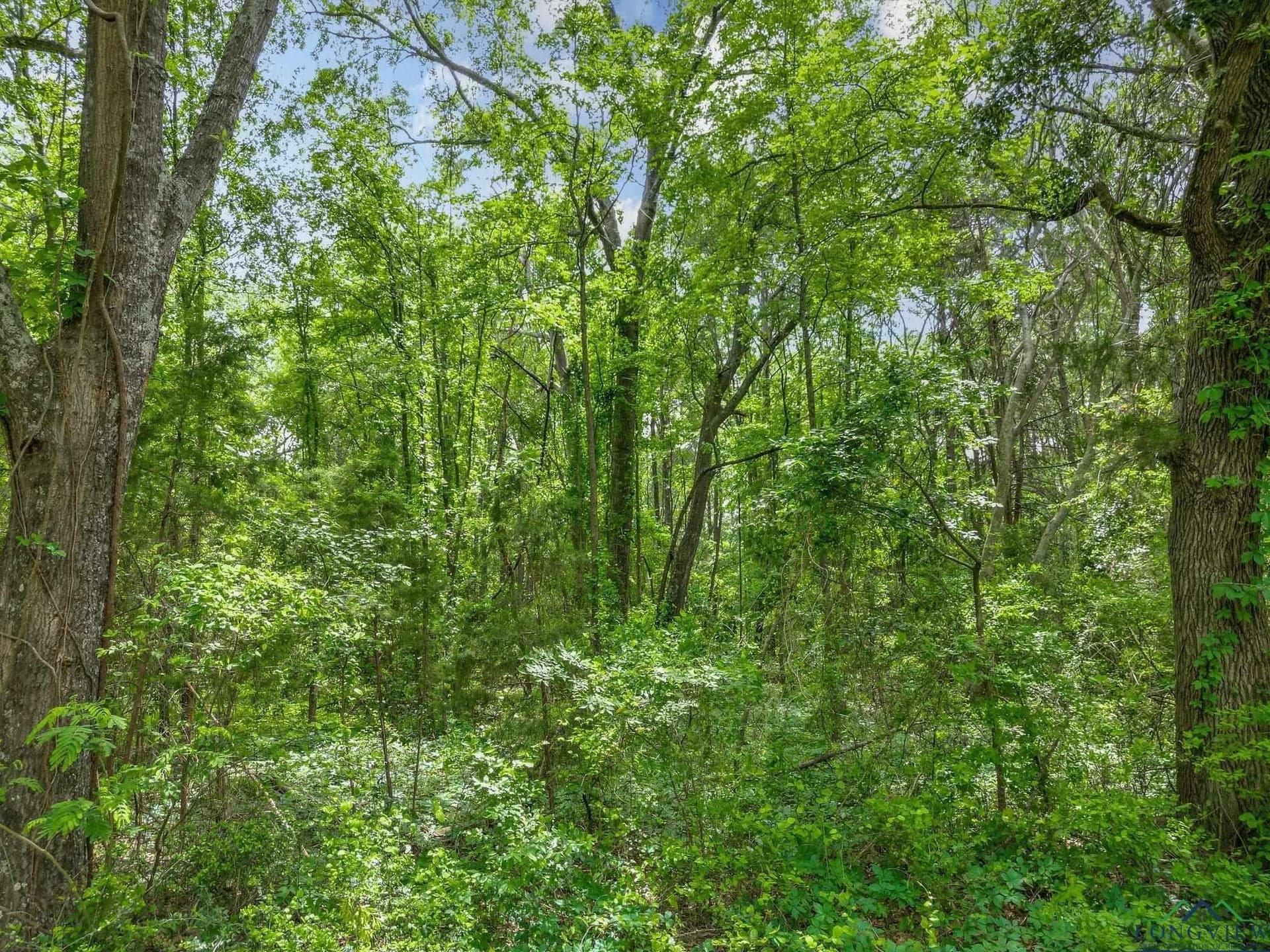3.93 acres in Texas County - photo 10
