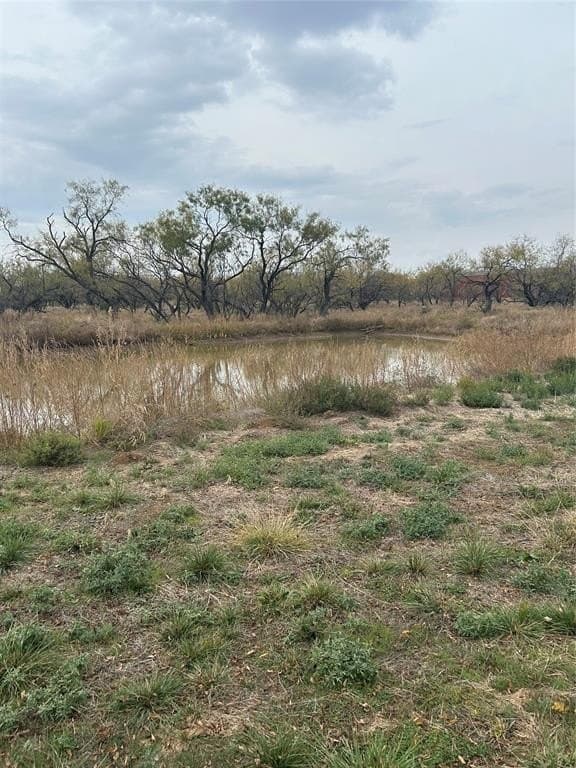 10 acres in Young County - photo 11