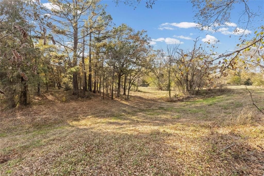 54.88 acres in Hunt County - photo 30