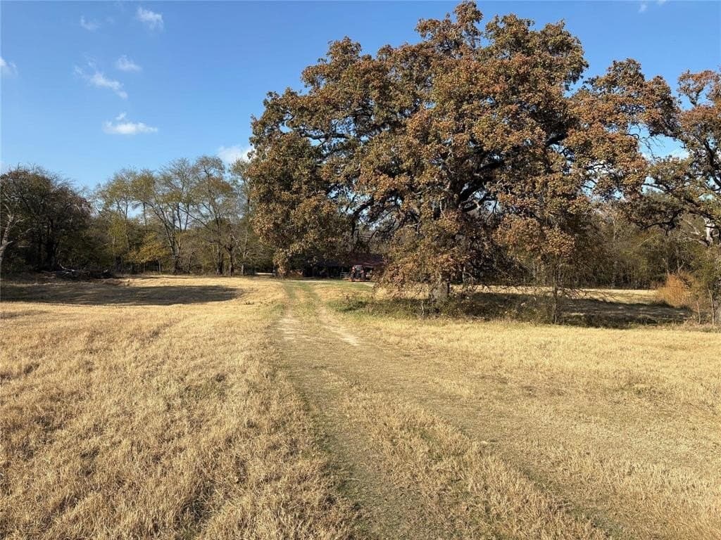 54.88 acres in Hunt County - photo 24