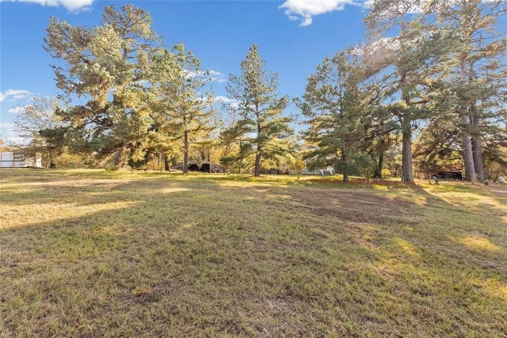 54.88 acres in Hunt County - photo 4