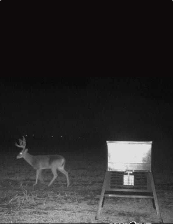 16.22 acres in Hill County - photo 8