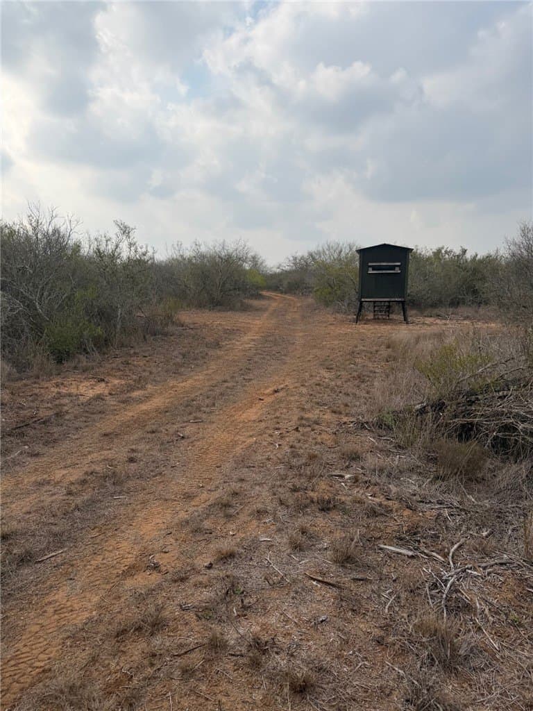 70 acres in Duval County - photo 6
