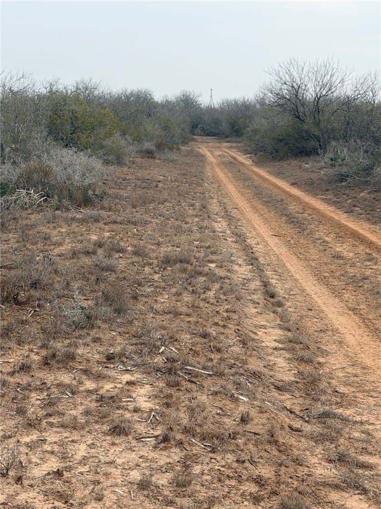 70 acres in Duval County - photo 3