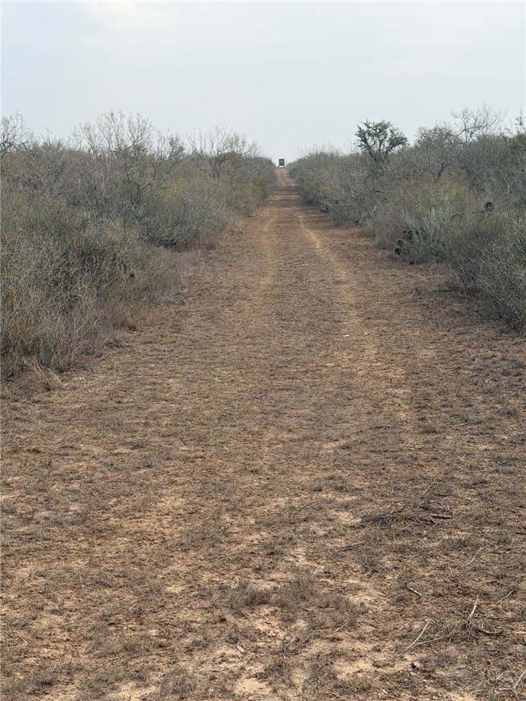 70 acres in Duval County - photo 8