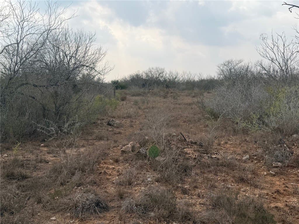 70 acres in Duval County - photo 12
