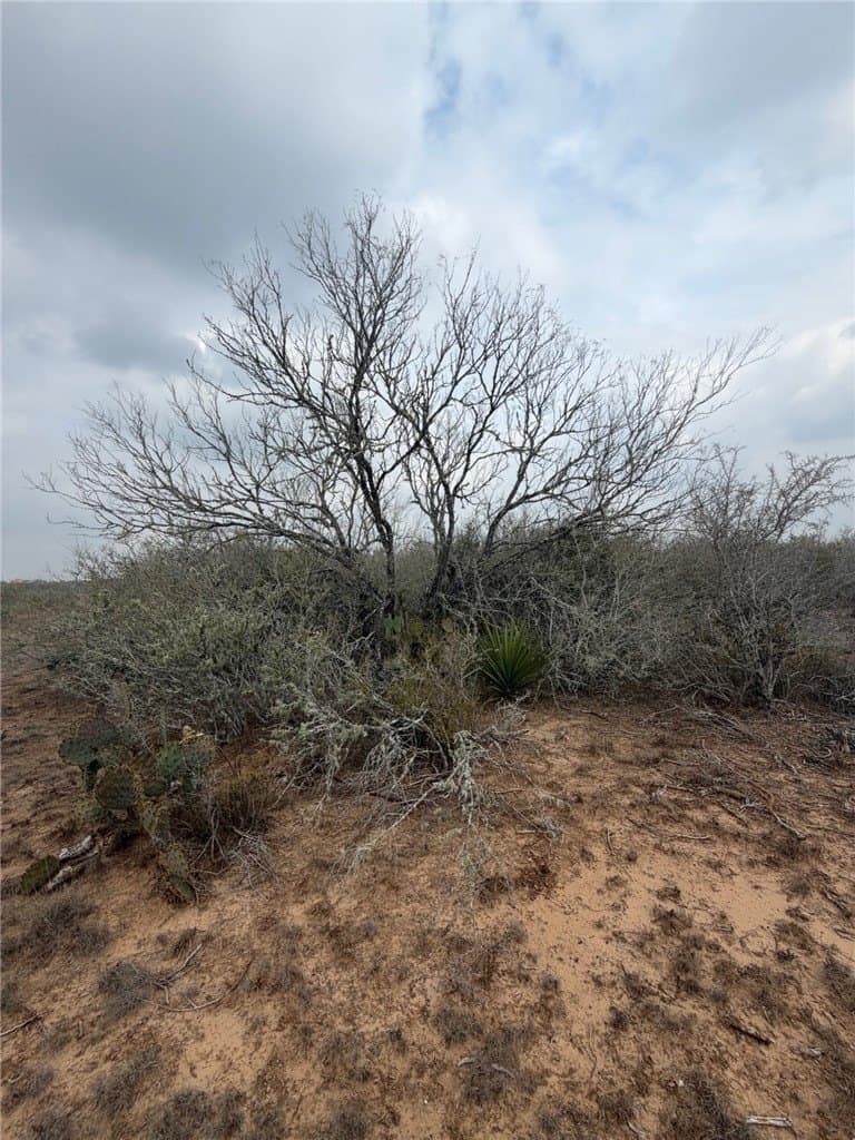 70 acres in Duval County - photo 4