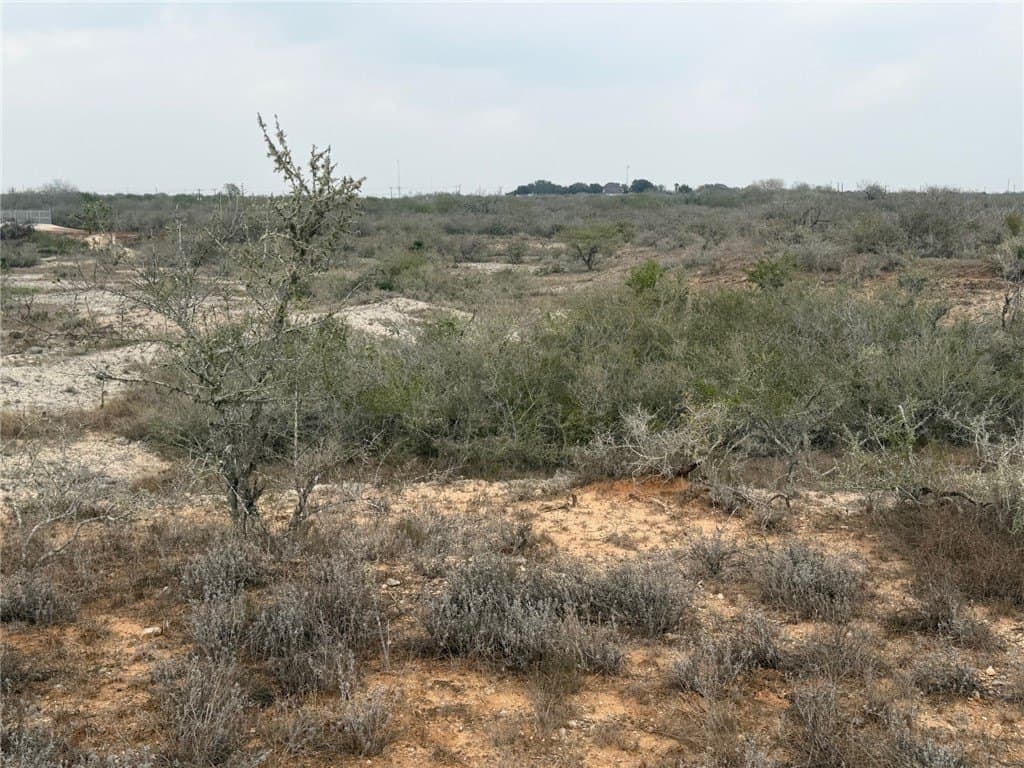 70 acres in Duval County - photo 14
