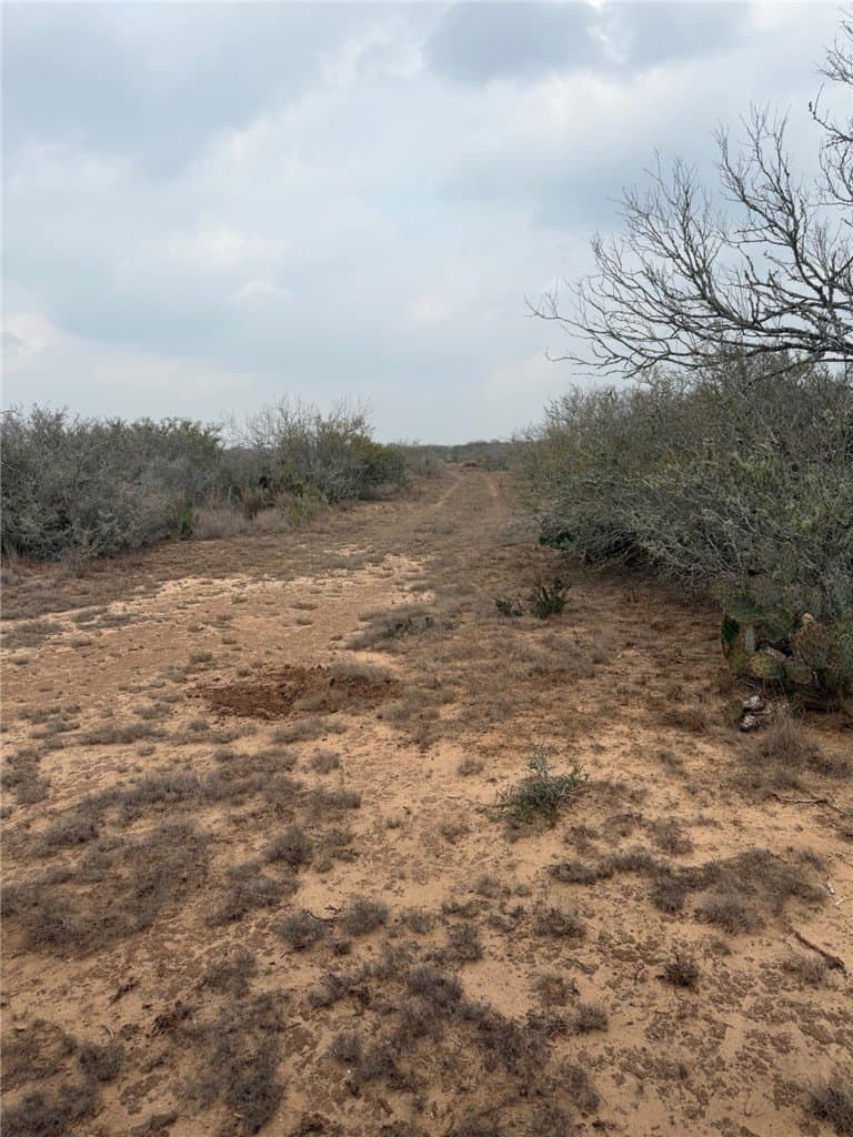 70 acres in Duval County - photo 16