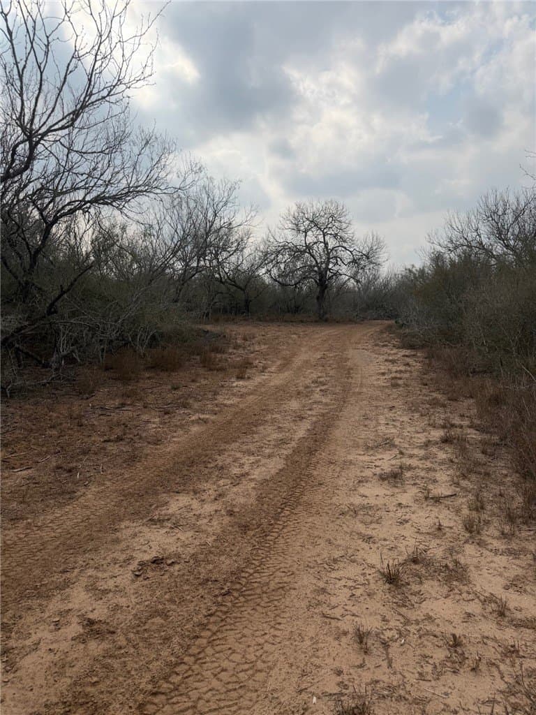 70 acres in Duval County - photo 5