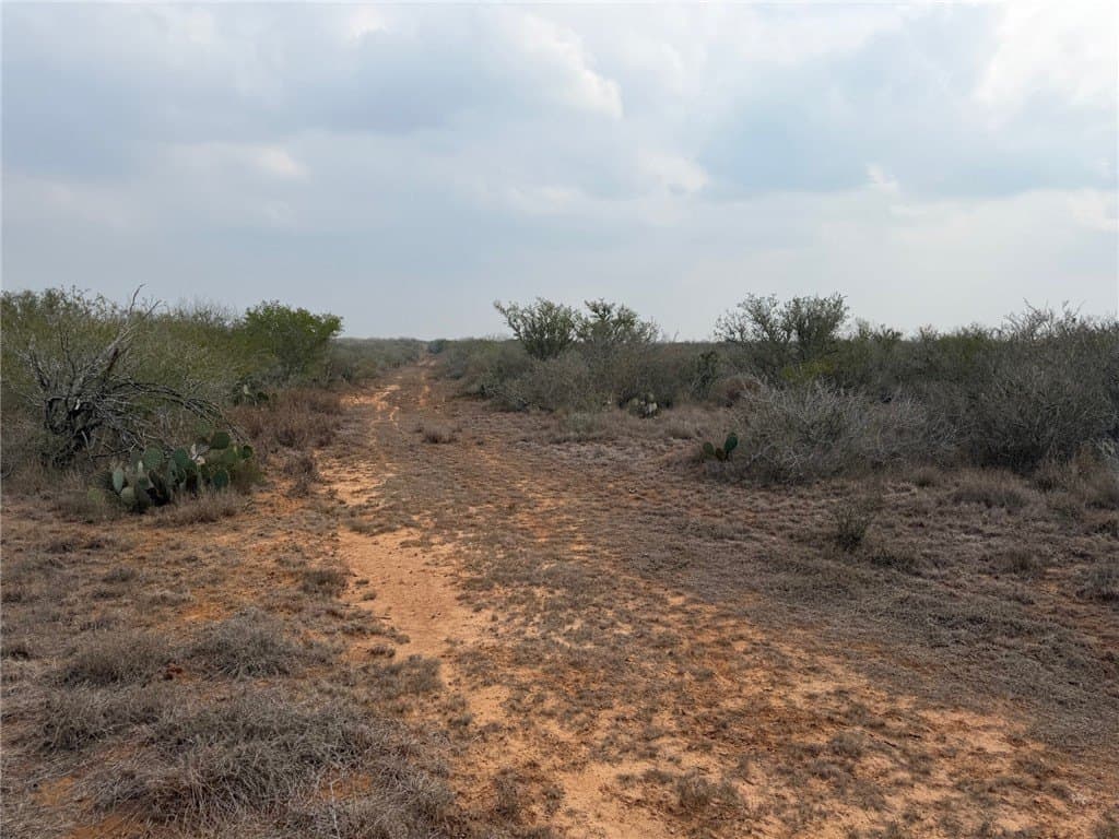 70 acres in Duval County - photo 10