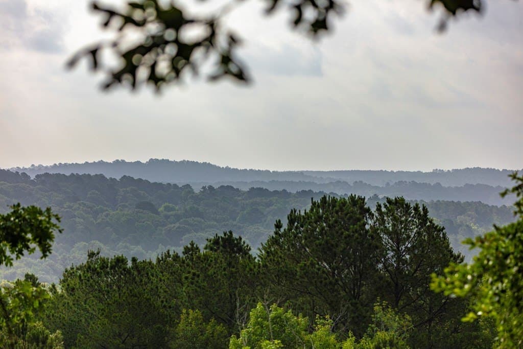 590 acres in Henderson County - photo 2