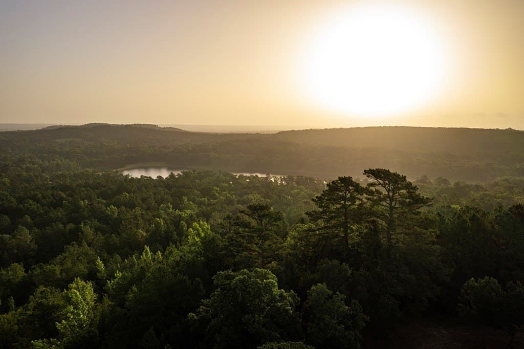 590 acres in Henderson County - photo 15