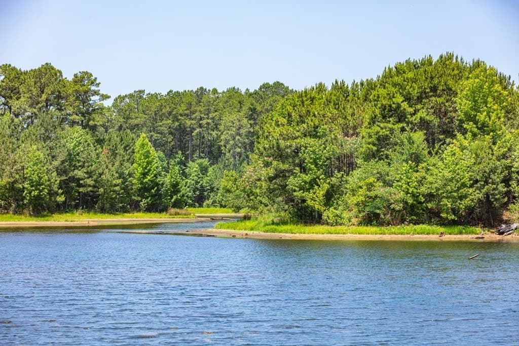 590 acres in Henderson County - photo 4