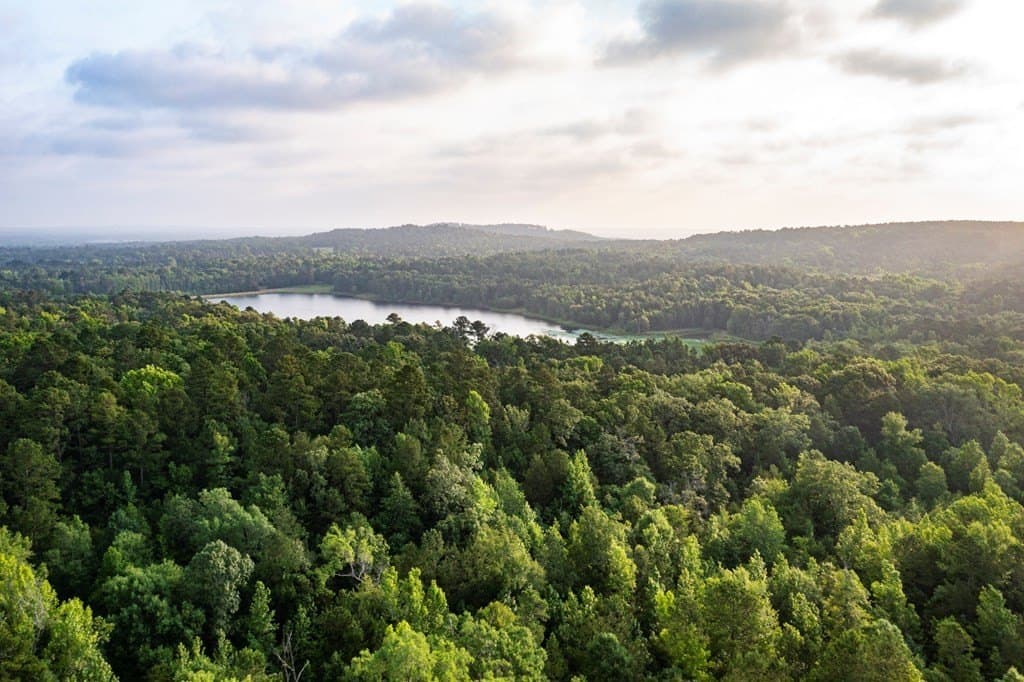 590 acres in Henderson County - photo 10