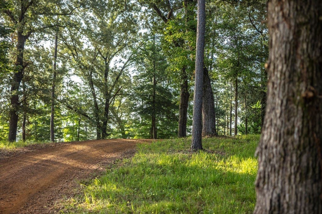 590 acres in Henderson County - photo 9