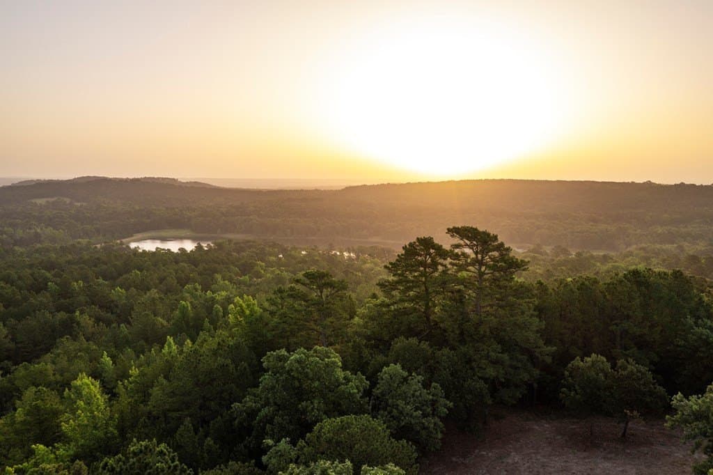 590 acres in Henderson County - photo 14