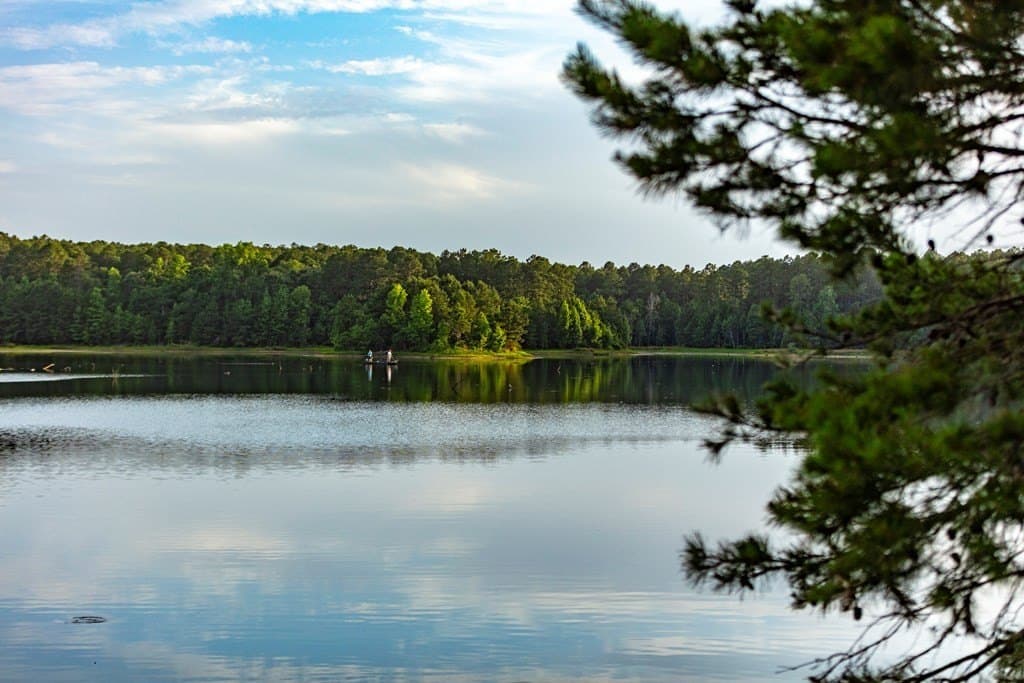 590 acres in Henderson County - photo 7