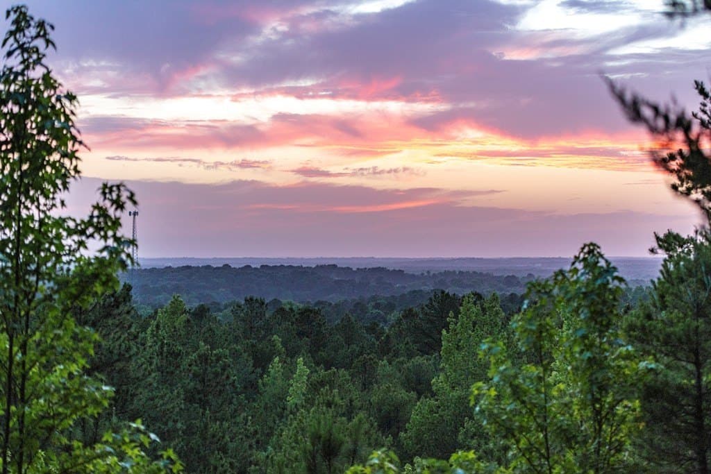 590 acres in Henderson County - photo 8