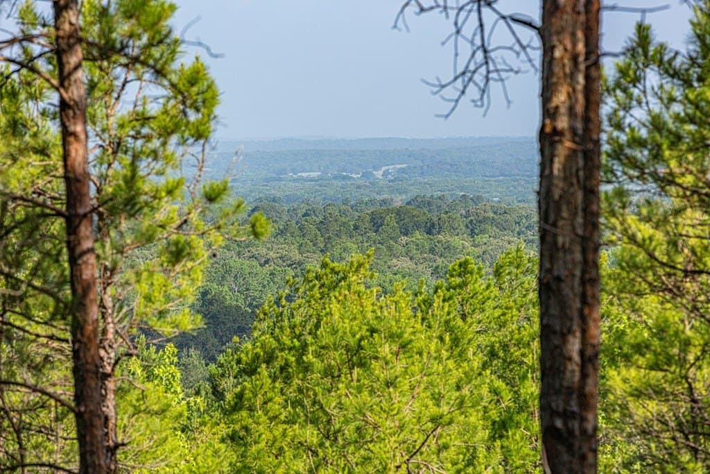590 acres in Henderson County - photo 3