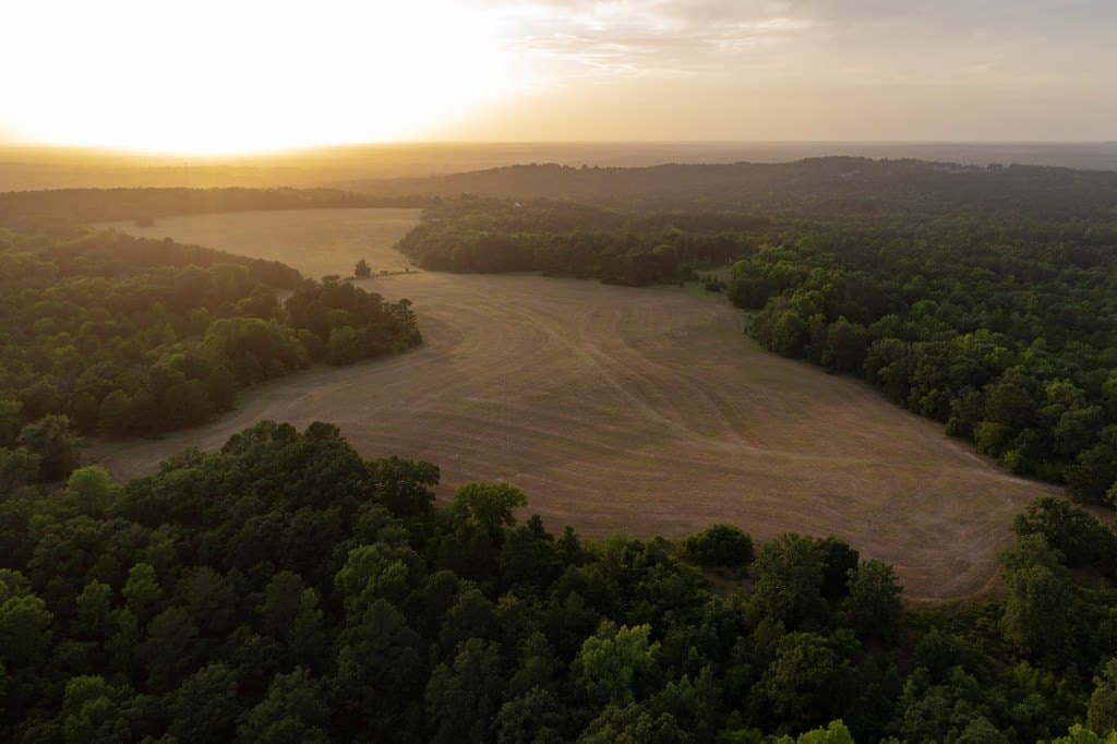 590 acres in Henderson County - photo 13