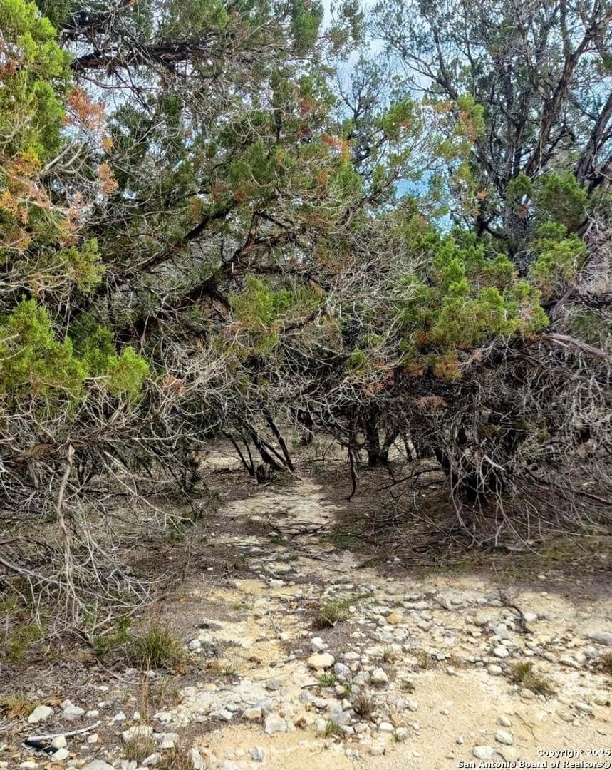 0.18 acres in Bandera County - photo 4