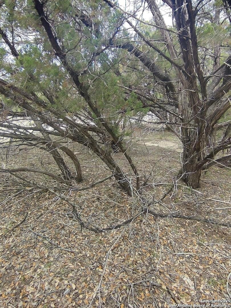 0.18 acres in Bandera County - photo 11