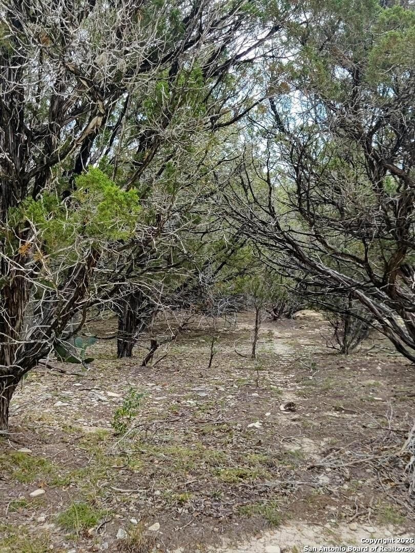 0.18 acres in Bandera County - photo 2