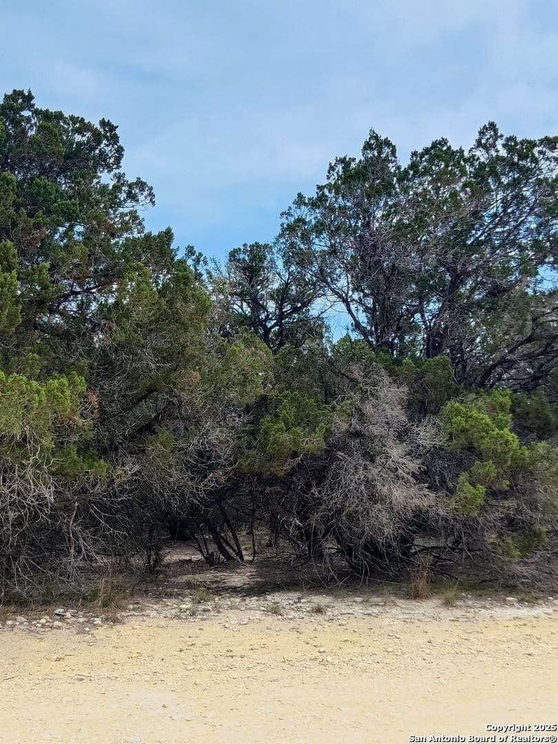 0.18 acres in Bandera County - photo 6