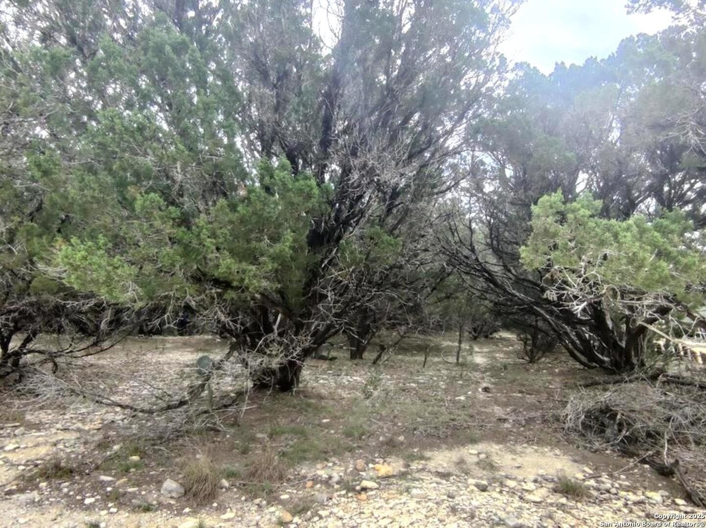 0.18 acres in Bandera County - photo 3