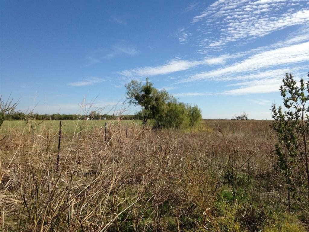 20 acres in Callahan County - photo 5