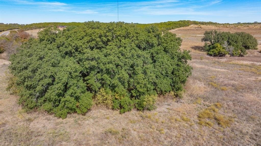 98.12 acres in Erath County - photo 23