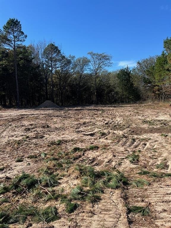 2.74 acres in Smith County - photo 4