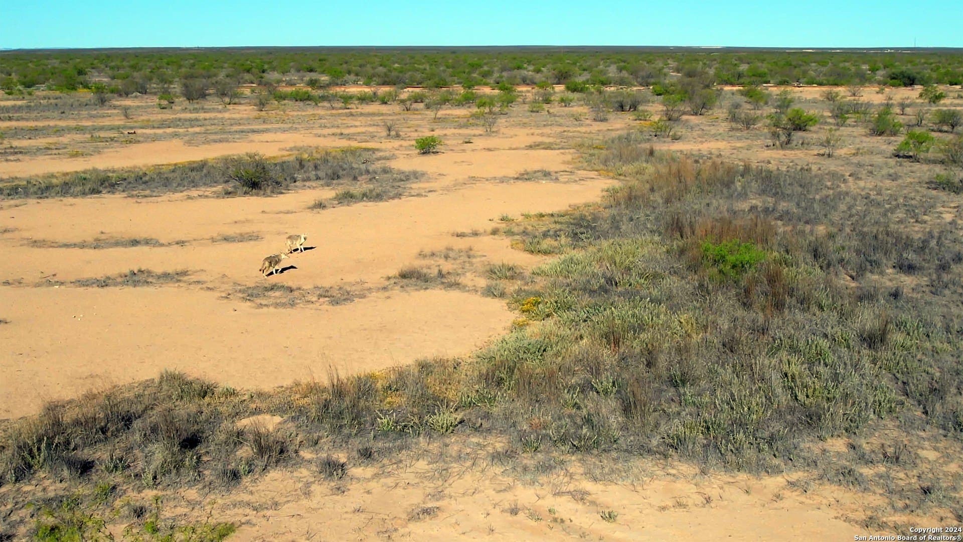 680 acres in Reeves County - photo 4