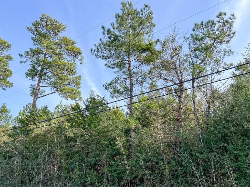 178 acres in Hardin County - photo 2