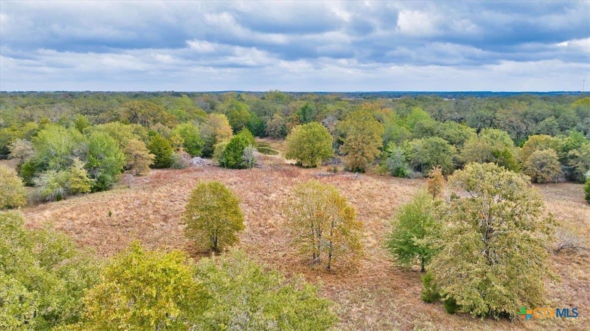 189 acres in Milam County - photo 9