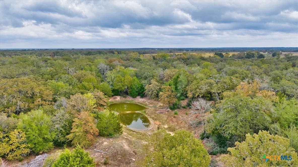 189 acres in Milam County - photo 15