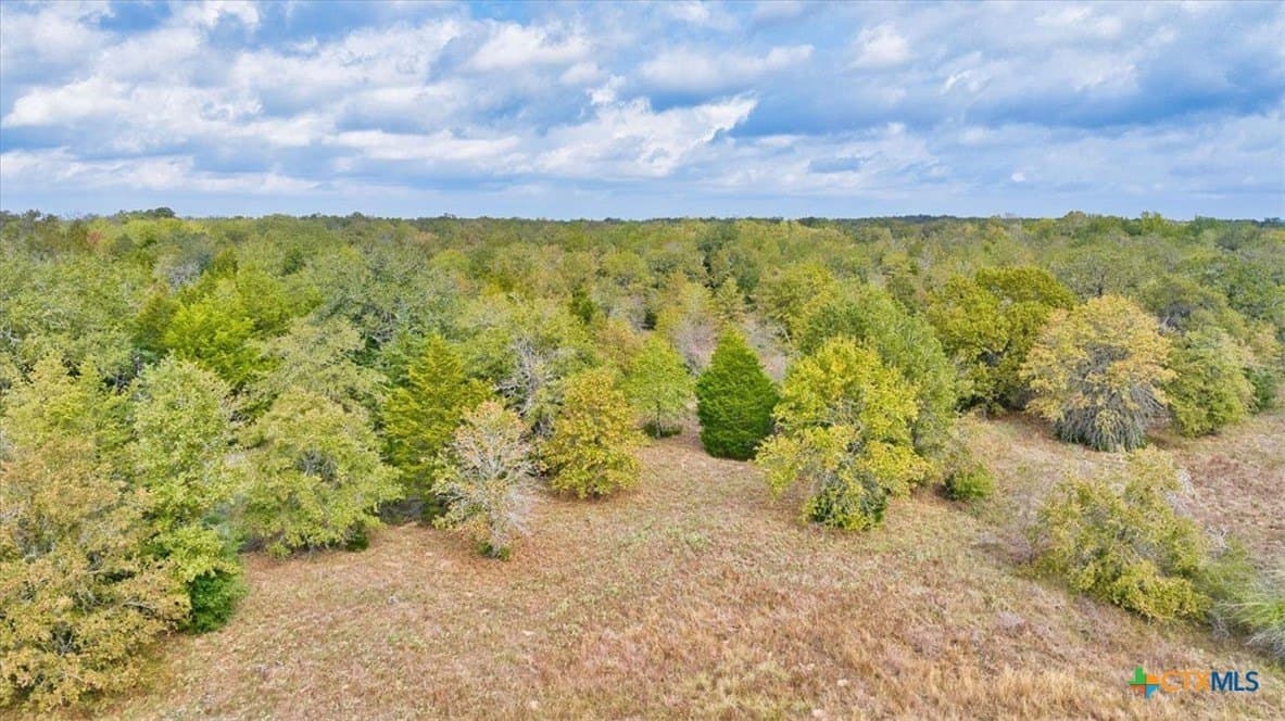 189 acres in Milam County - photo 13