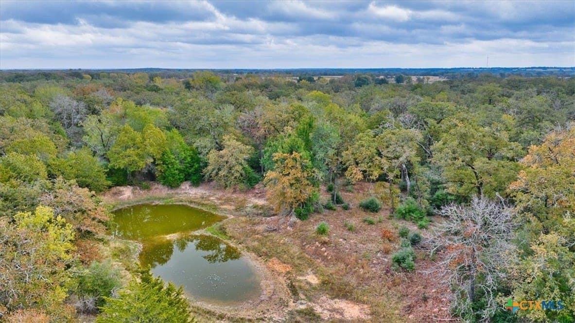 189 acres in Milam County - photo 8