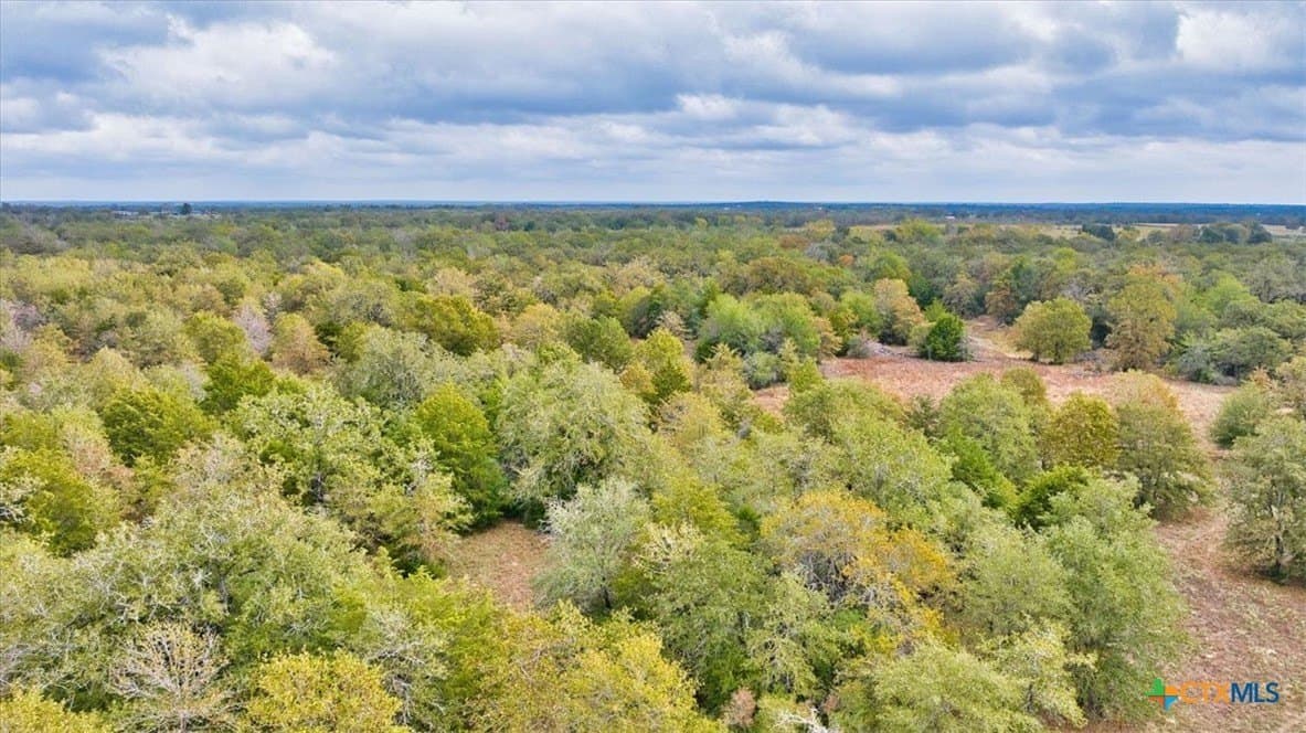 189 acres in Milam County - photo 16