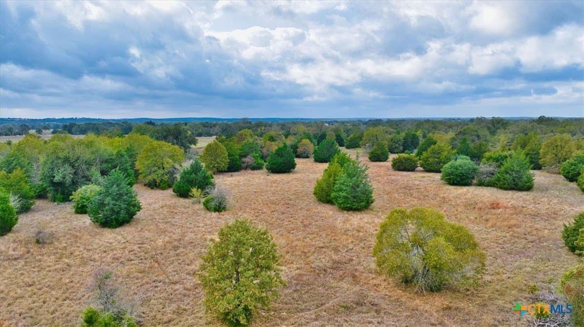 189 acres in Milam County - photo 6