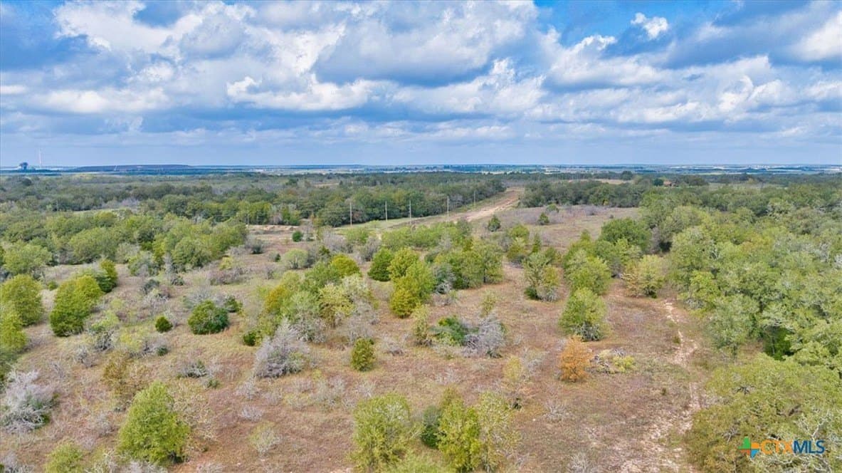 189 acres in Milam County - photo 17