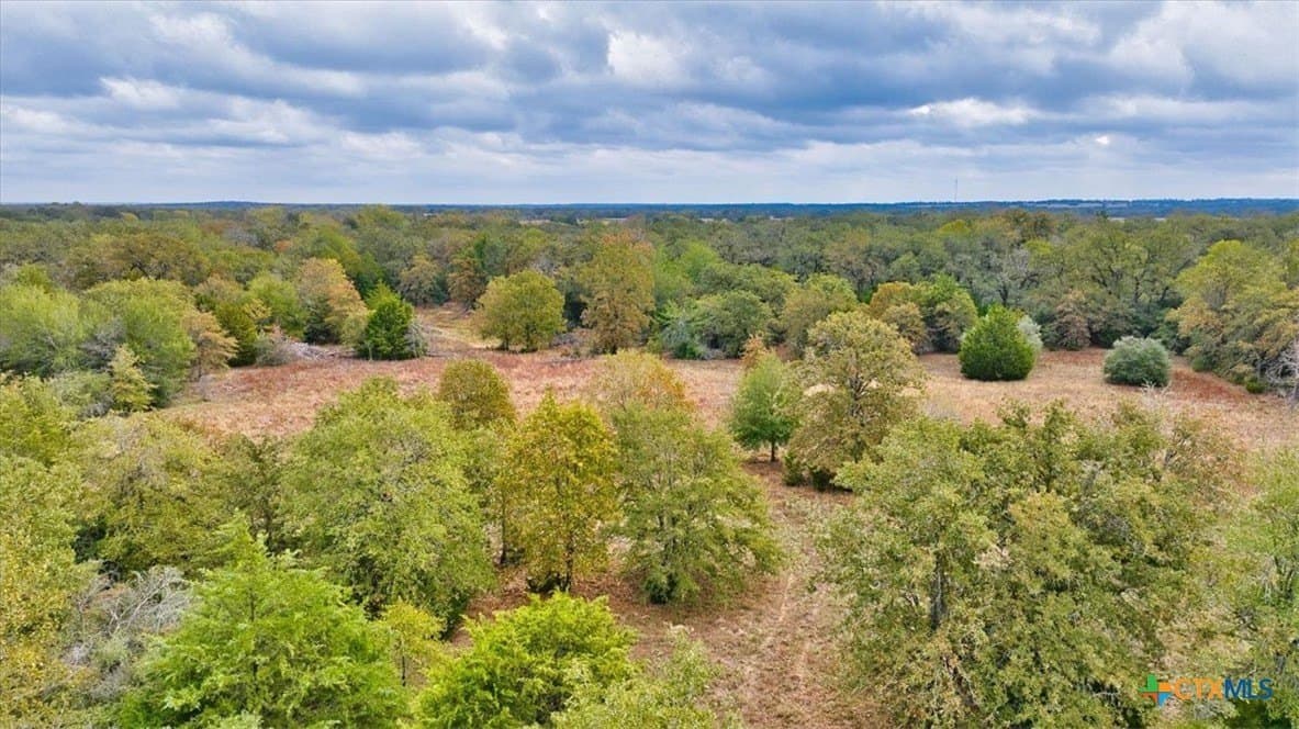 189 acres in Milam County - photo 11