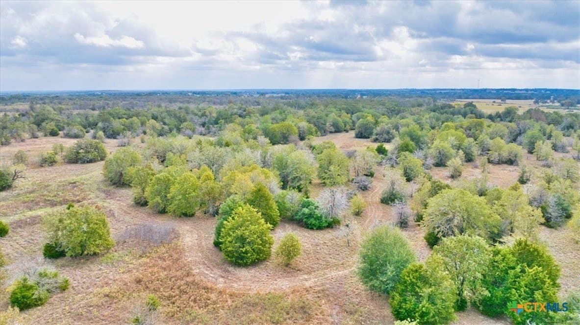 189 acres in Milam County - photo 14
