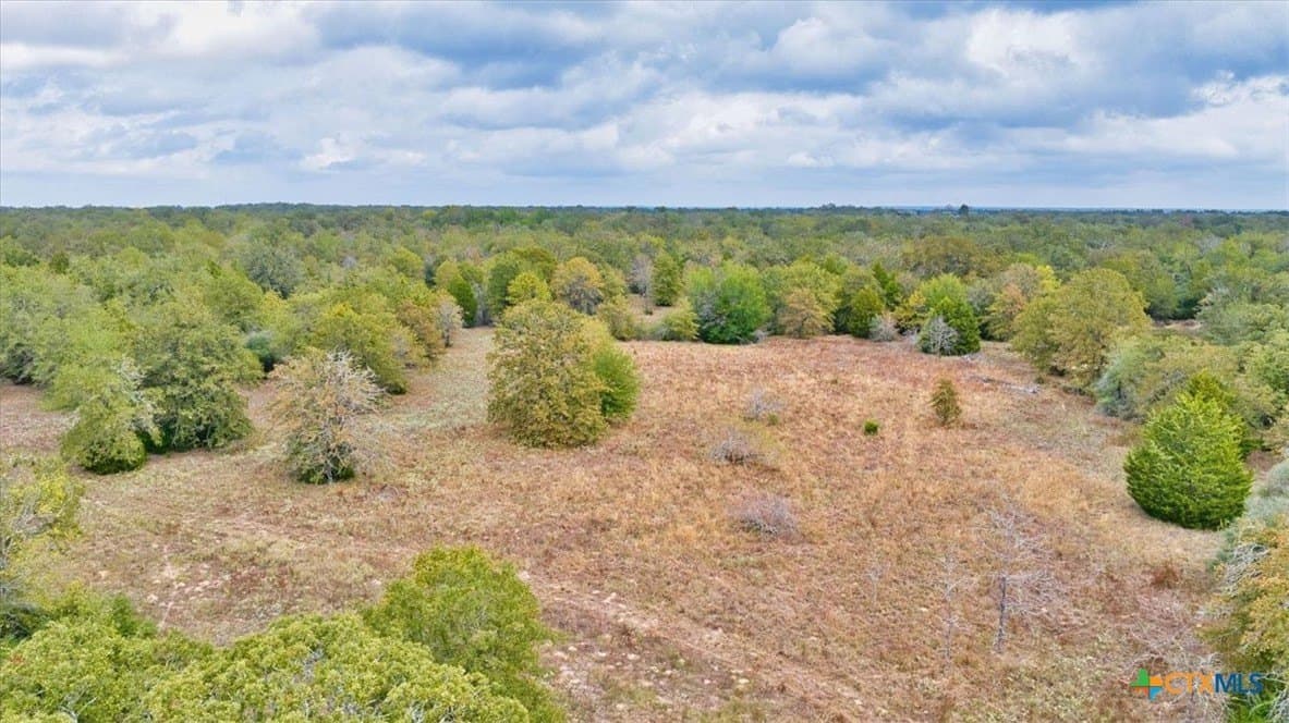 189 acres in Milam County - photo 7