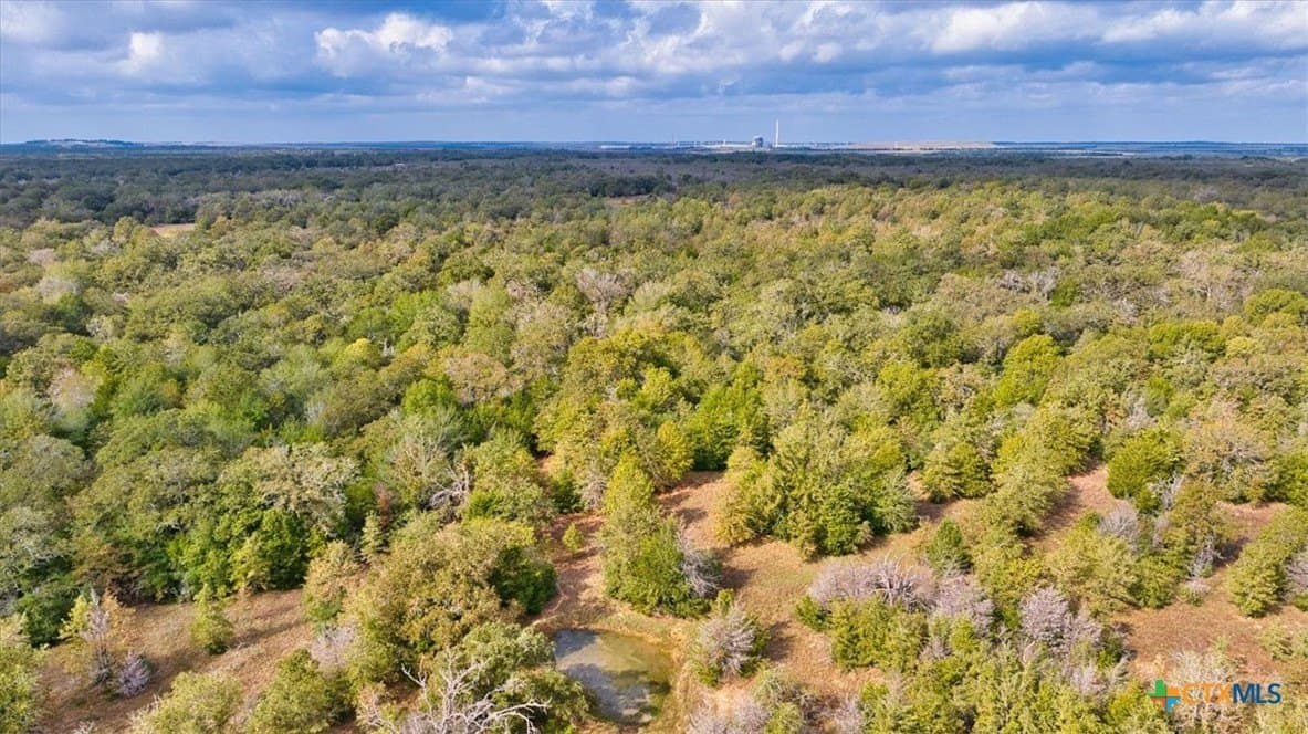189 acres in Milam County - photo 19
