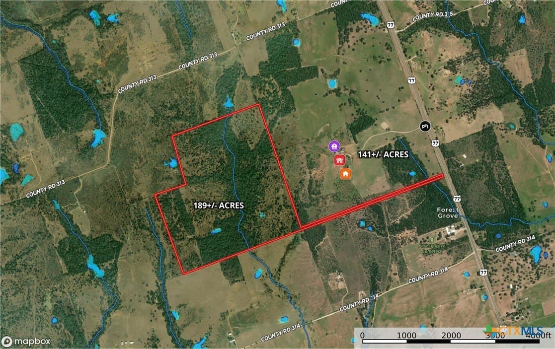 189 acres in Milam County - photo 3